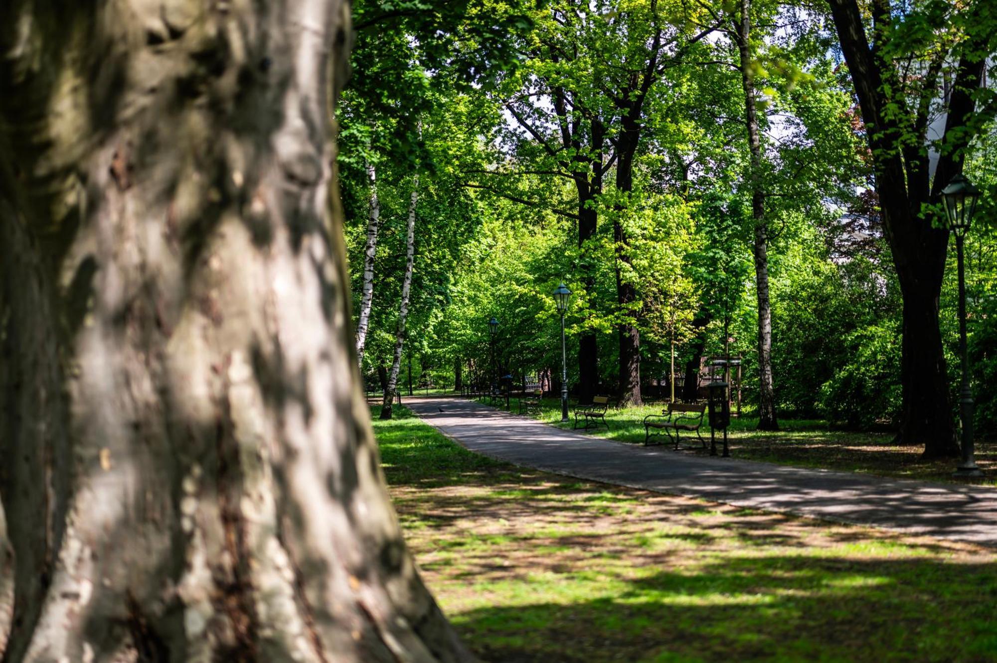 Neapol Parking Gratis Moxy Te&Am Cracow Apartment Krakow Ngoại thất bức ảnh